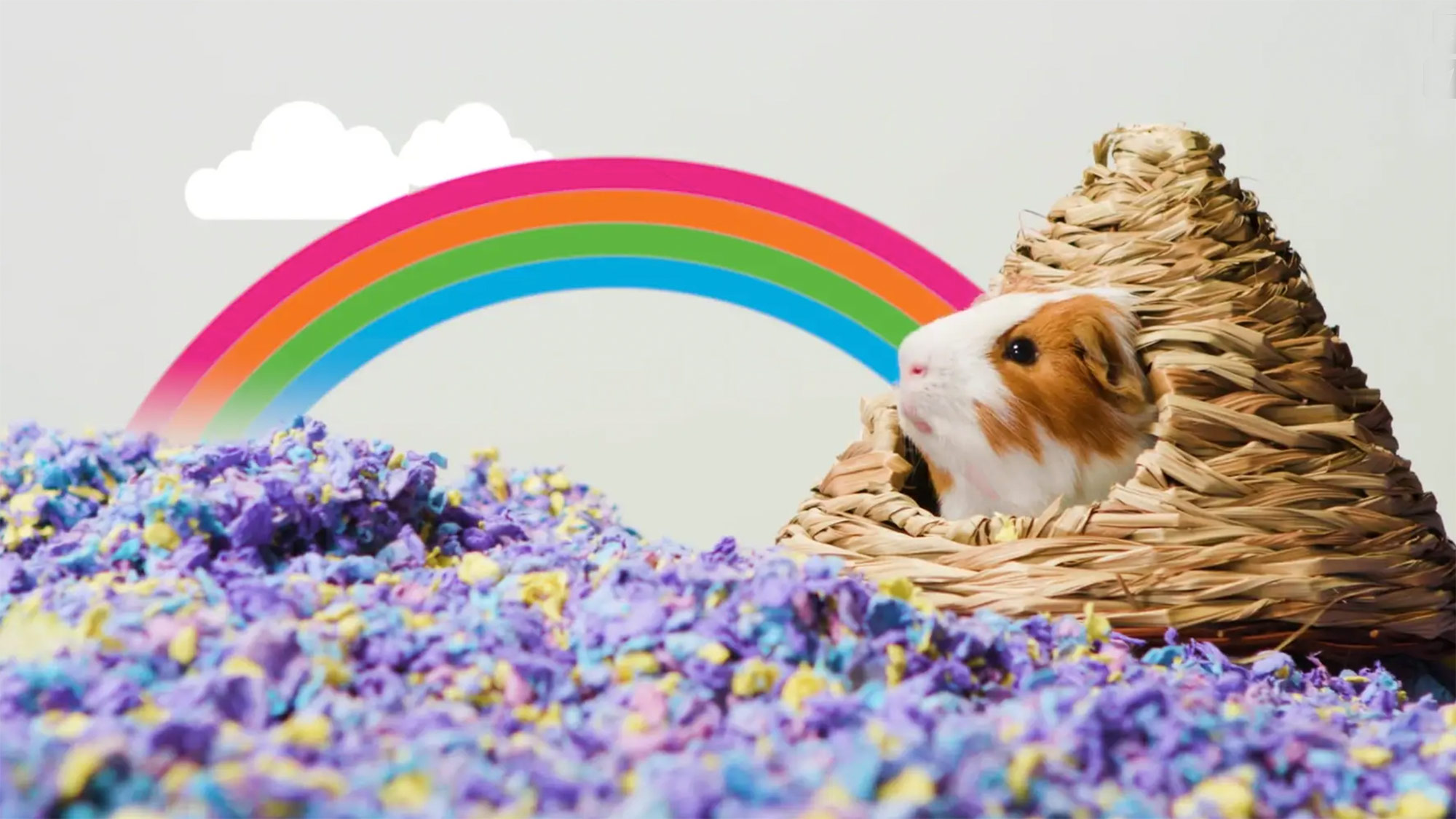 Carefresh, Healthy Pet